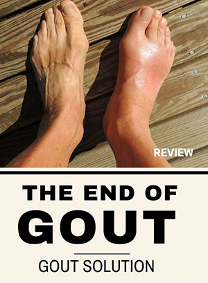 The End of Gout Review